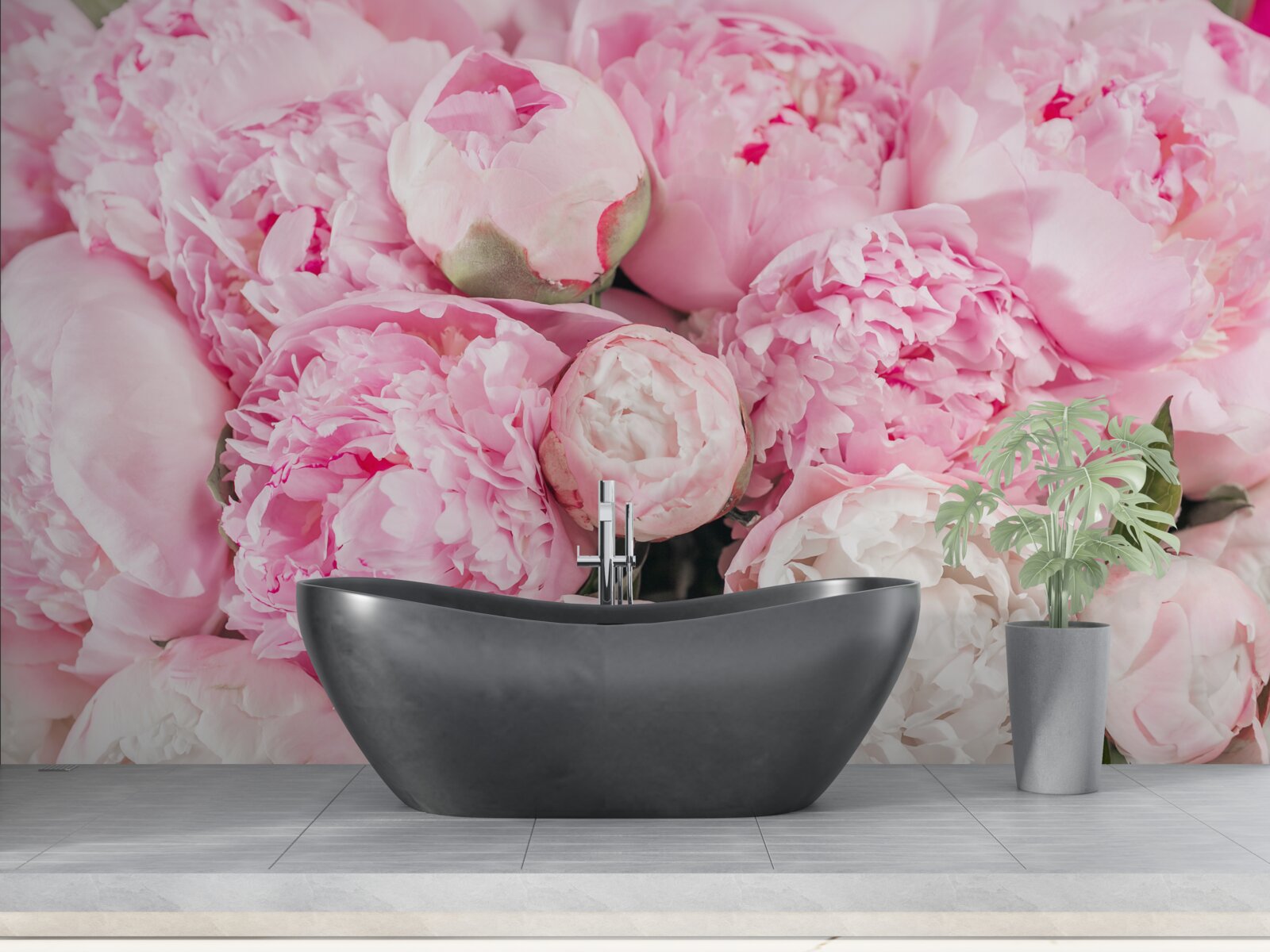 Fototapeta krásne ružové pivonky