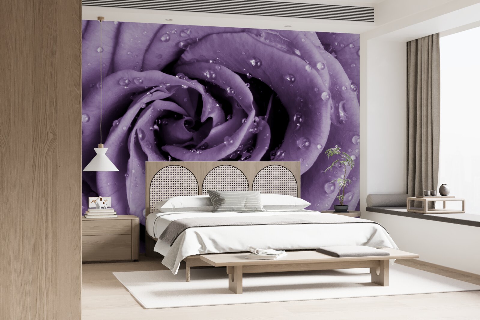 Fototapeta ranná rosa na fialovej ruži