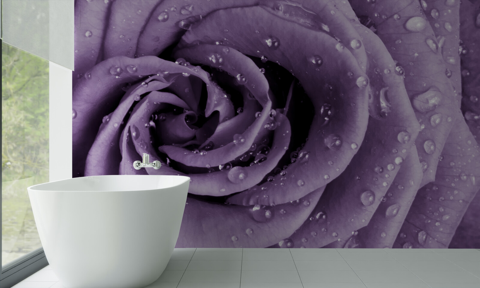 Fototapeta ranná rosa na fialovej ruži