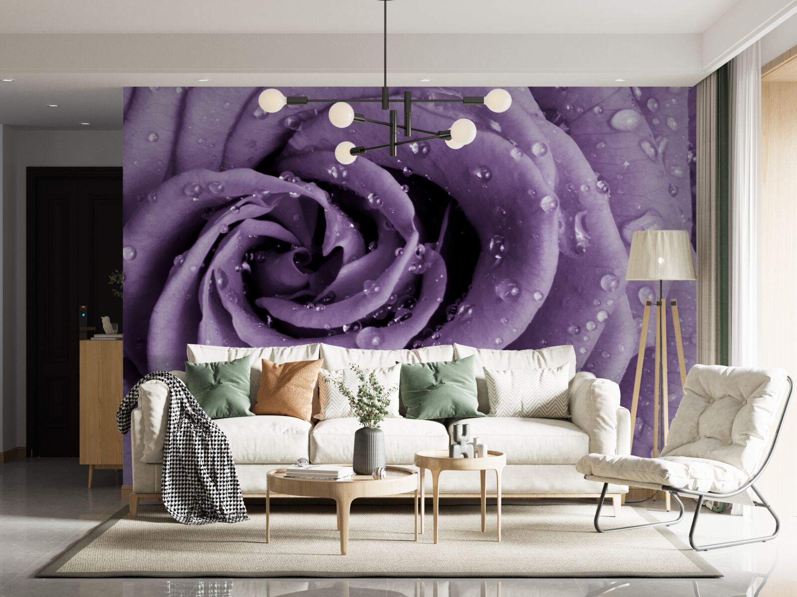 Fototapeta ranná rosa na fialovej ruži