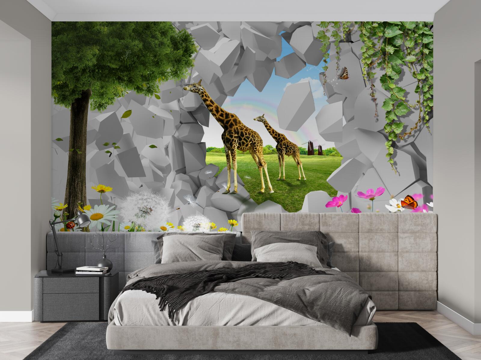 Fototapeta v prírode sa žirafy snažia dostať na stromy