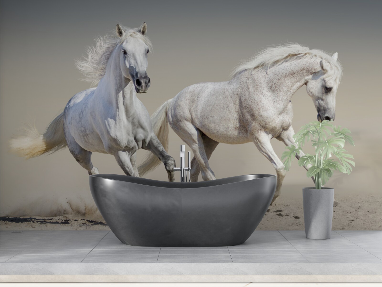 Fototapeta na pieskovom povrchu sa preháňajú dva ľahké žrebce