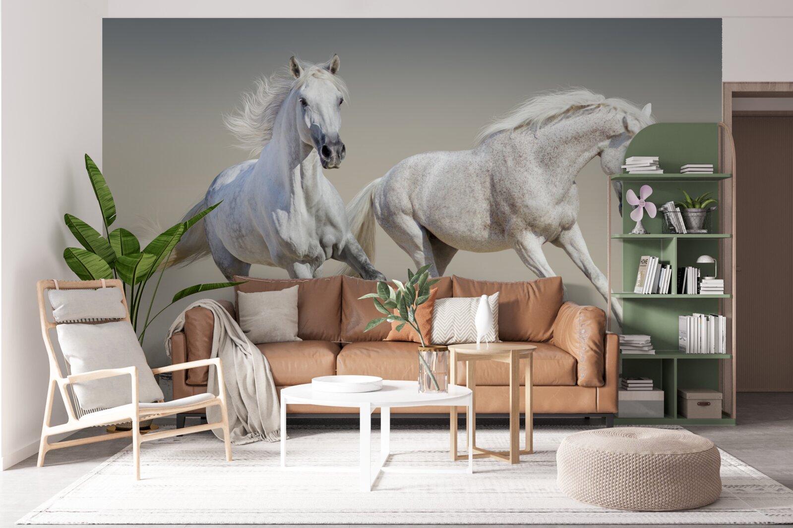 Fototapeta na pieskovom povrchu sa preháňajú dva ľahké žrebce