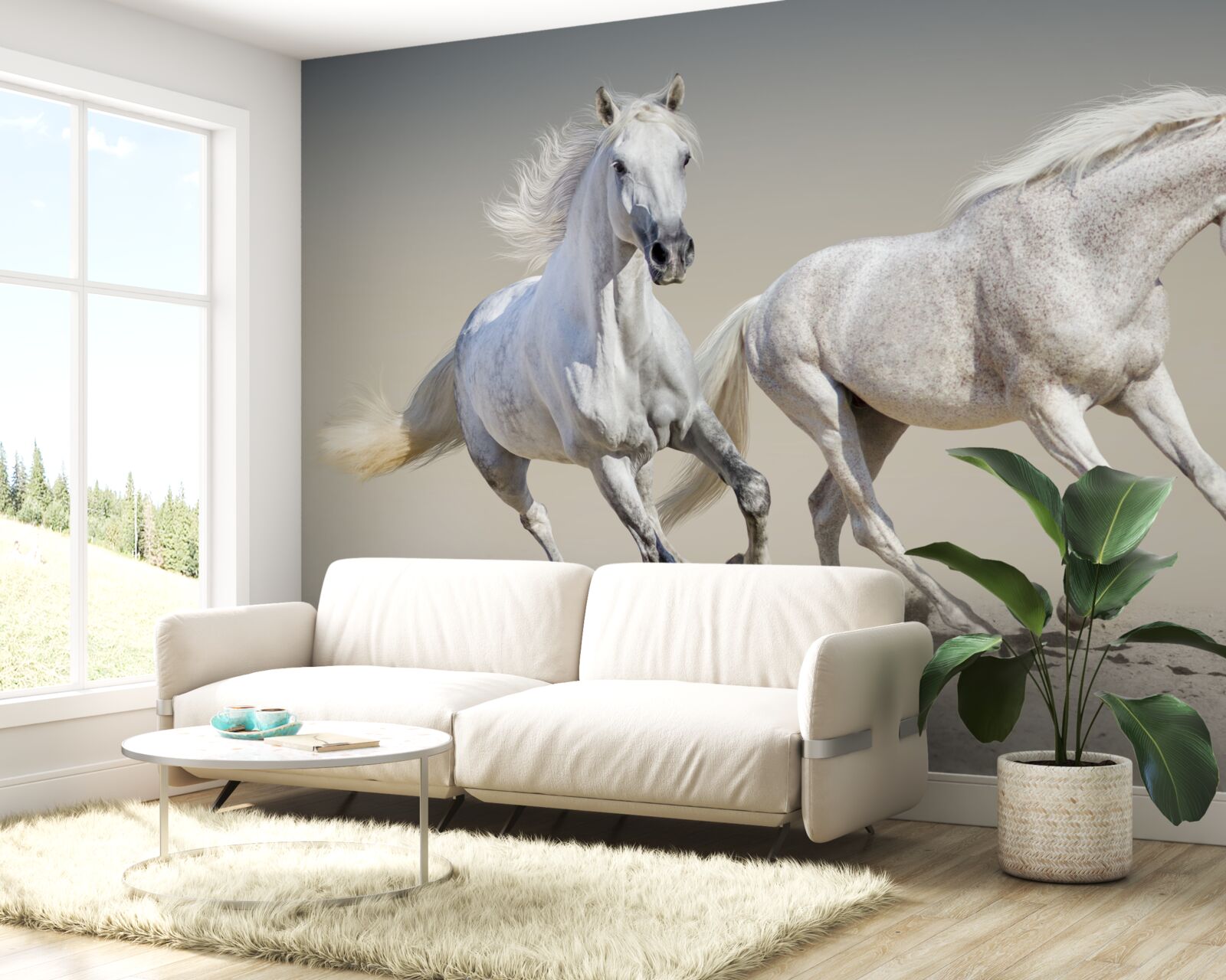 Fototapeta na pieskovom povrchu sa preháňajú dva ľahké žrebce