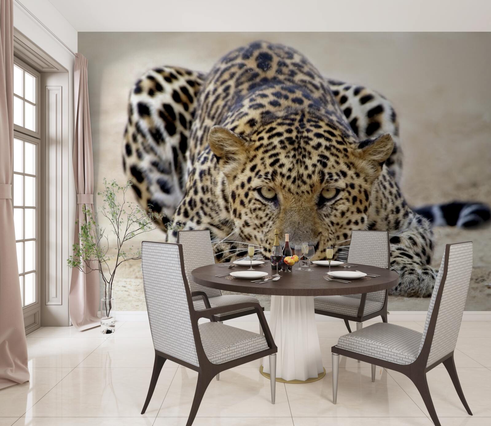 Fototapeta čakajúci leopard so škvrnitou kožou