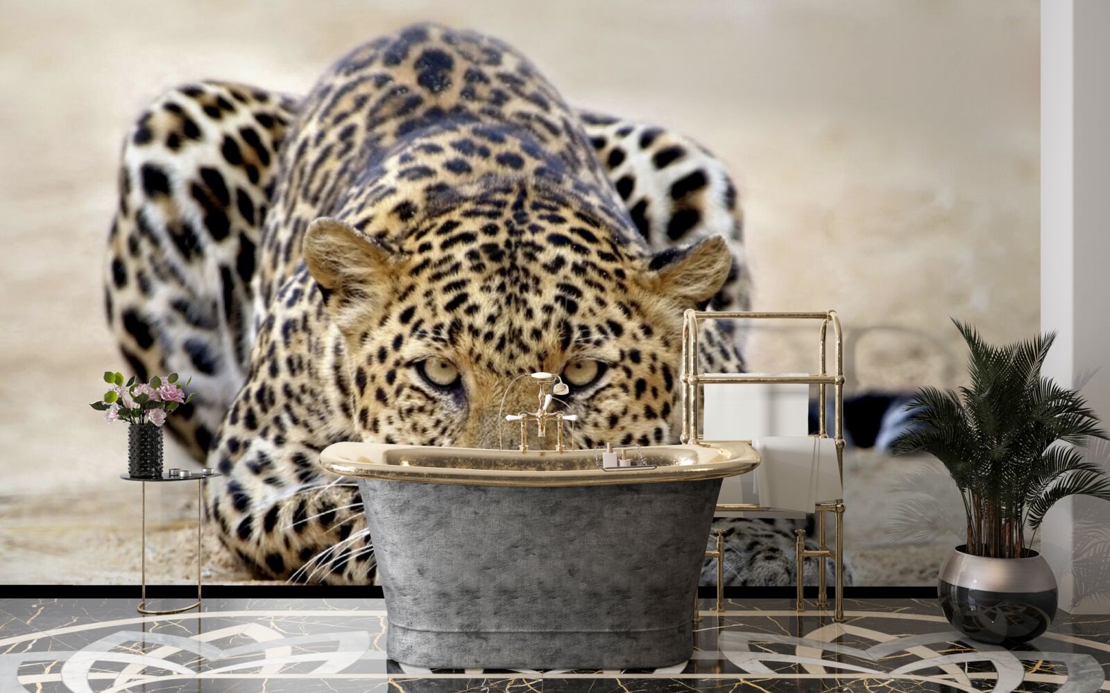 Fototapeta čakajúci leopard so škvrnitou kožou