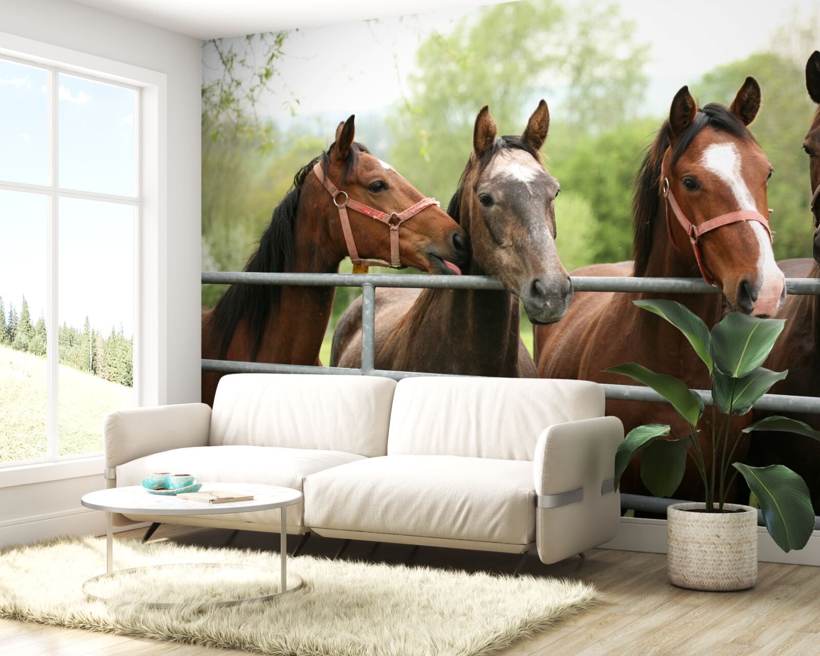 Fototapeta V ohrade sú štyri hnedé kone