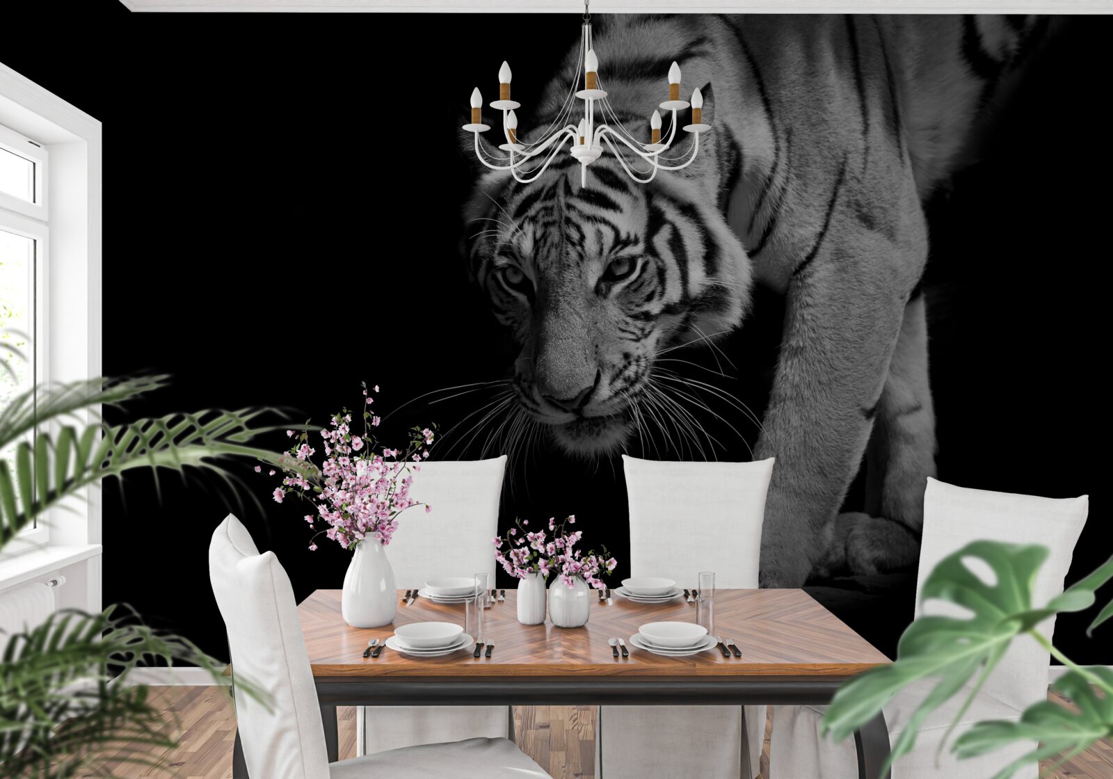 Fototapeta tiger plaziaci sa na pozadí tmy