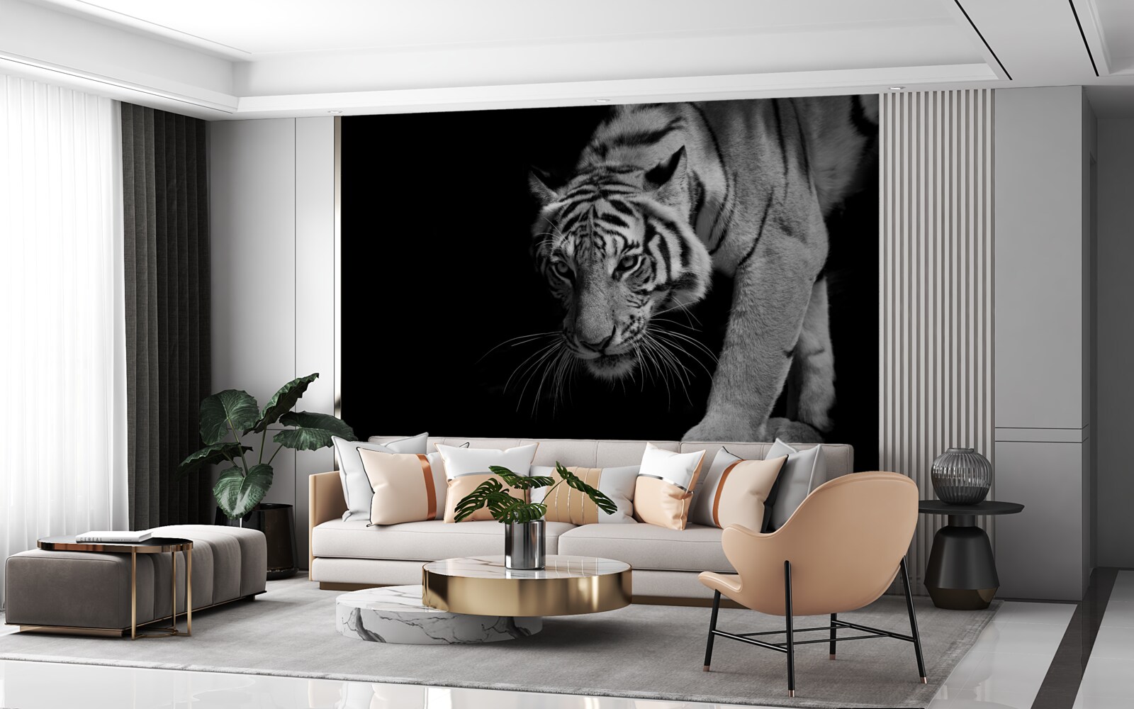 Fototapeta tiger plaziaci sa na pozadí tmy