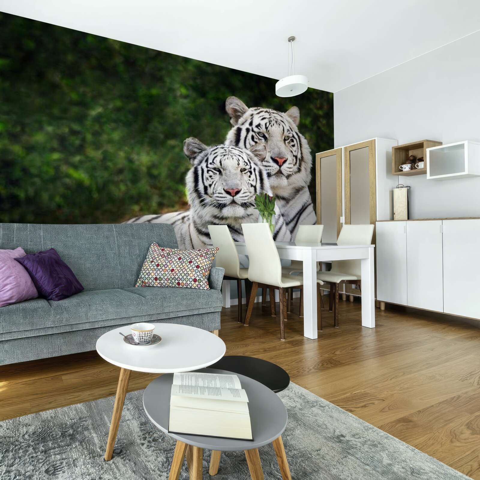 Fototapeta V lese žijú dva biele tigre, vydaté