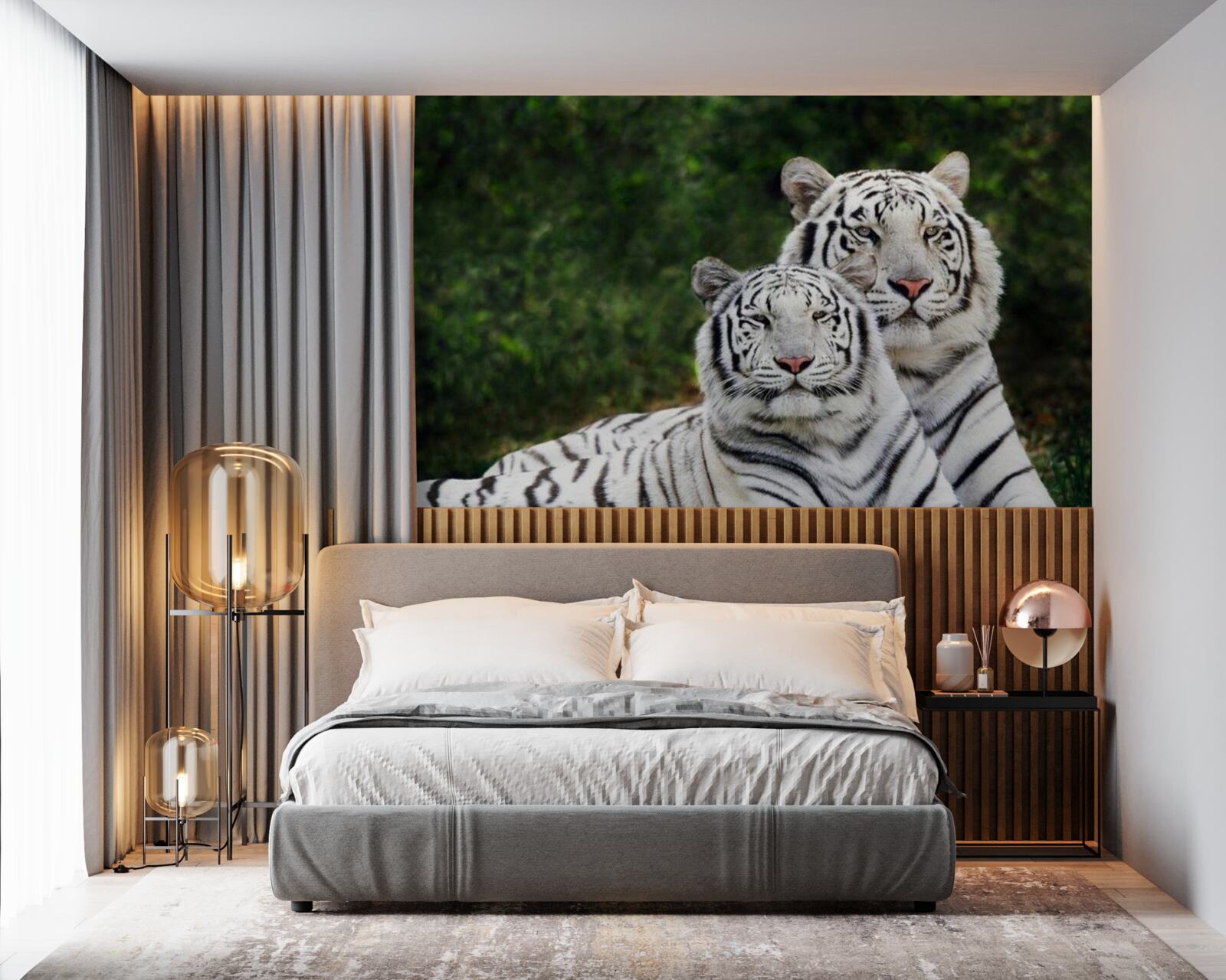 Fototapeta V lese žijú dva biele tigre, vydaté