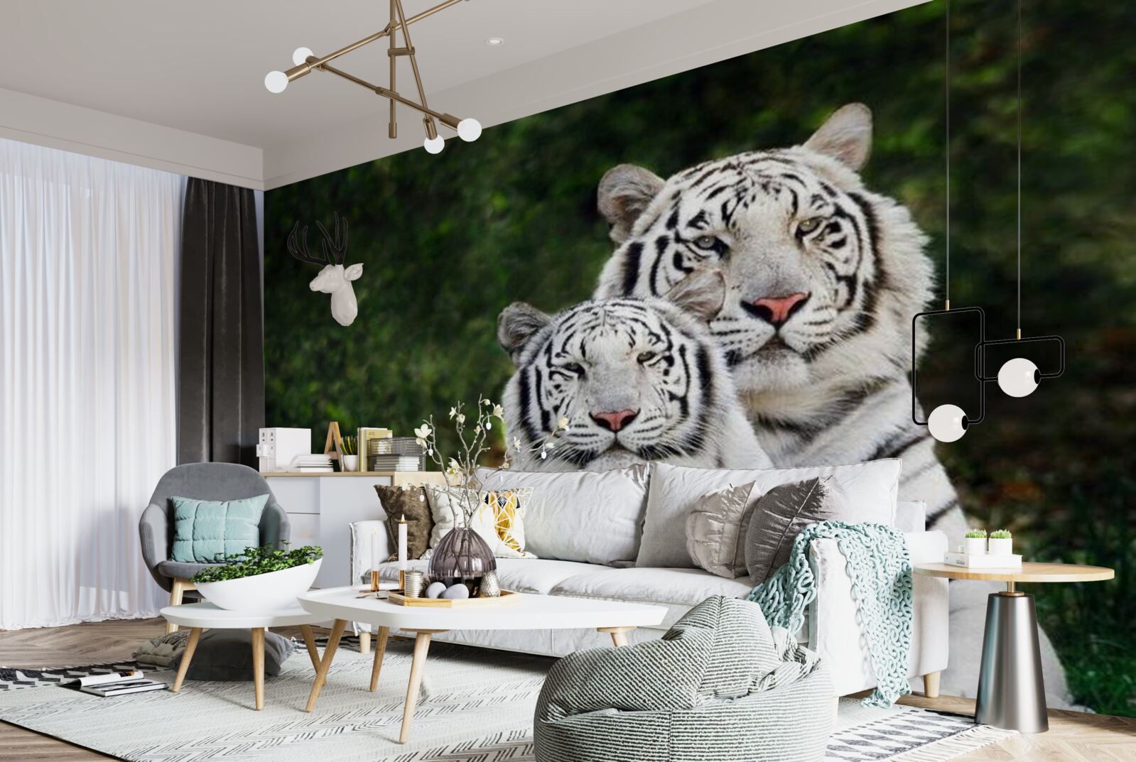 Fototapeta V lese žijú dva biele tigre, vydaté