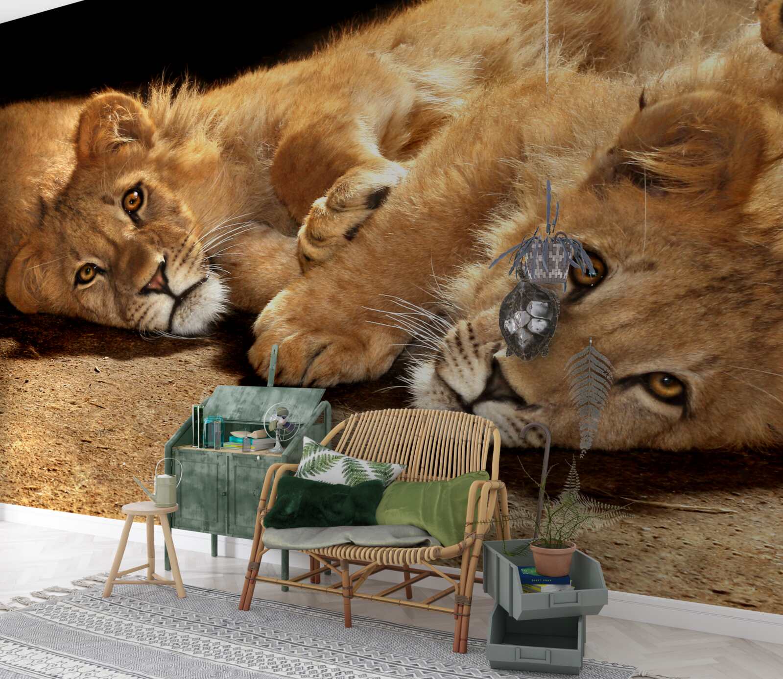 Fototapeta mladé levy sa hrajú na zemi