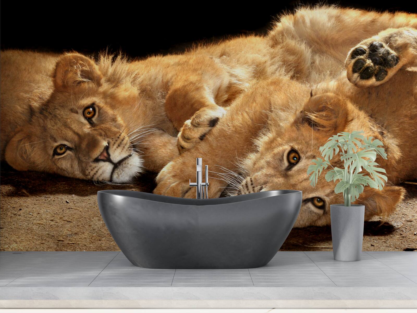 Fototapeta mladé levy sa hrajú na zemi