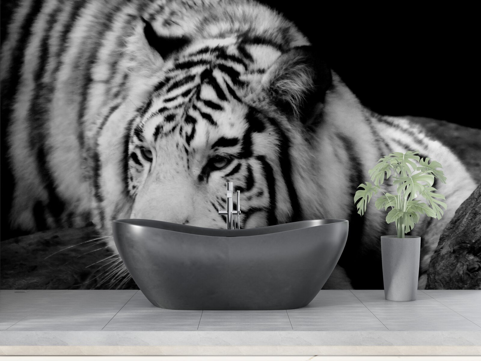 Fototapeta roztomilý čiernobiely tiger