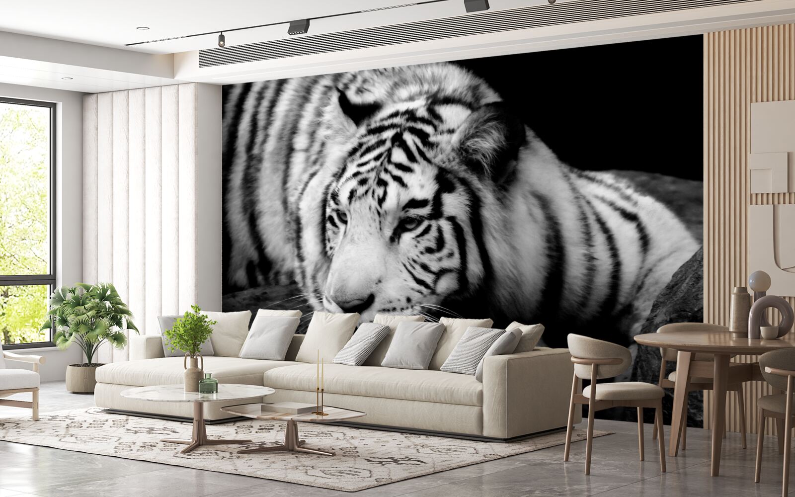 Fototapeta roztomilý čiernobiely tiger