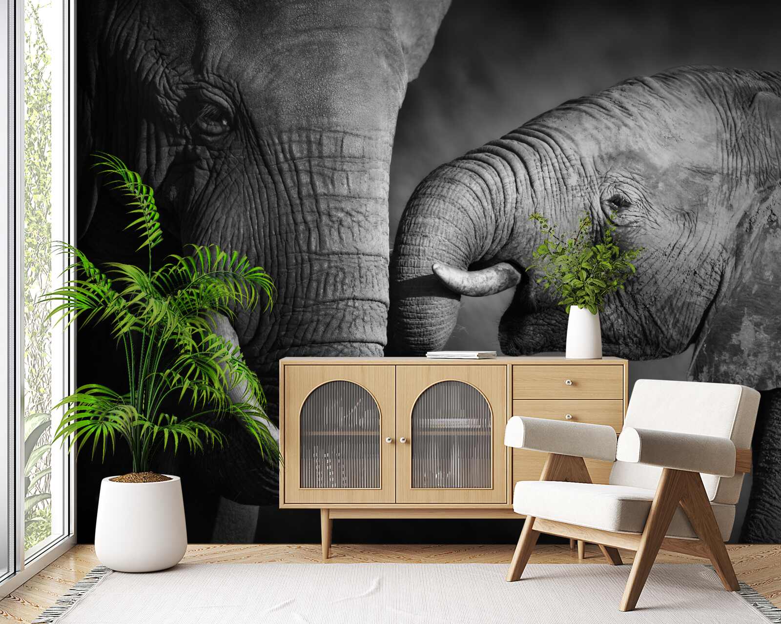 Fototapeta sloníča a matka sú čiernobiele