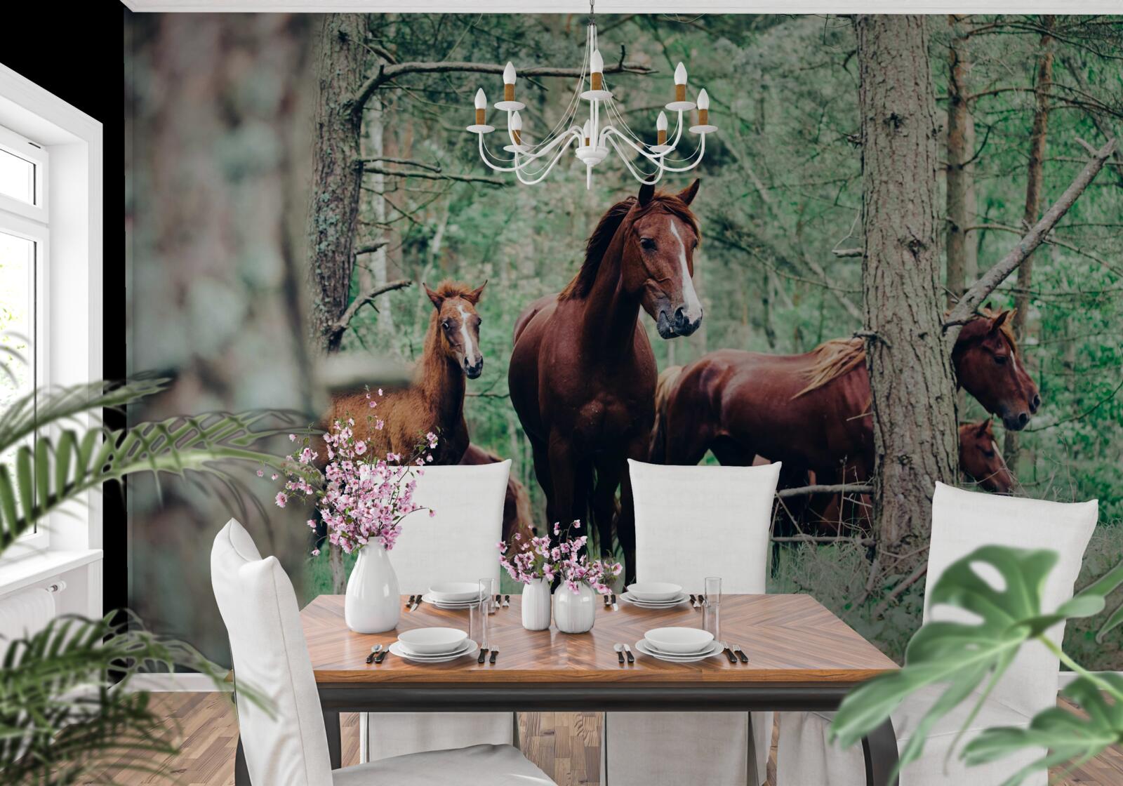 Fototapeta kone chodia na jar v lese