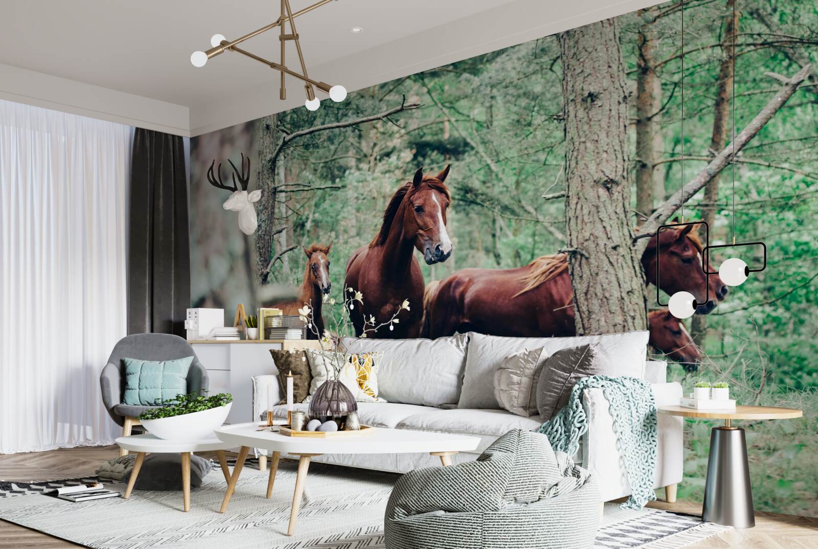 Fototapeta kone chodia na jar v lese