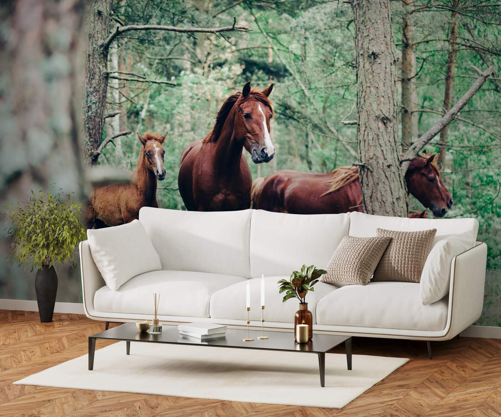 Fototapeta kone chodia na jar v lese