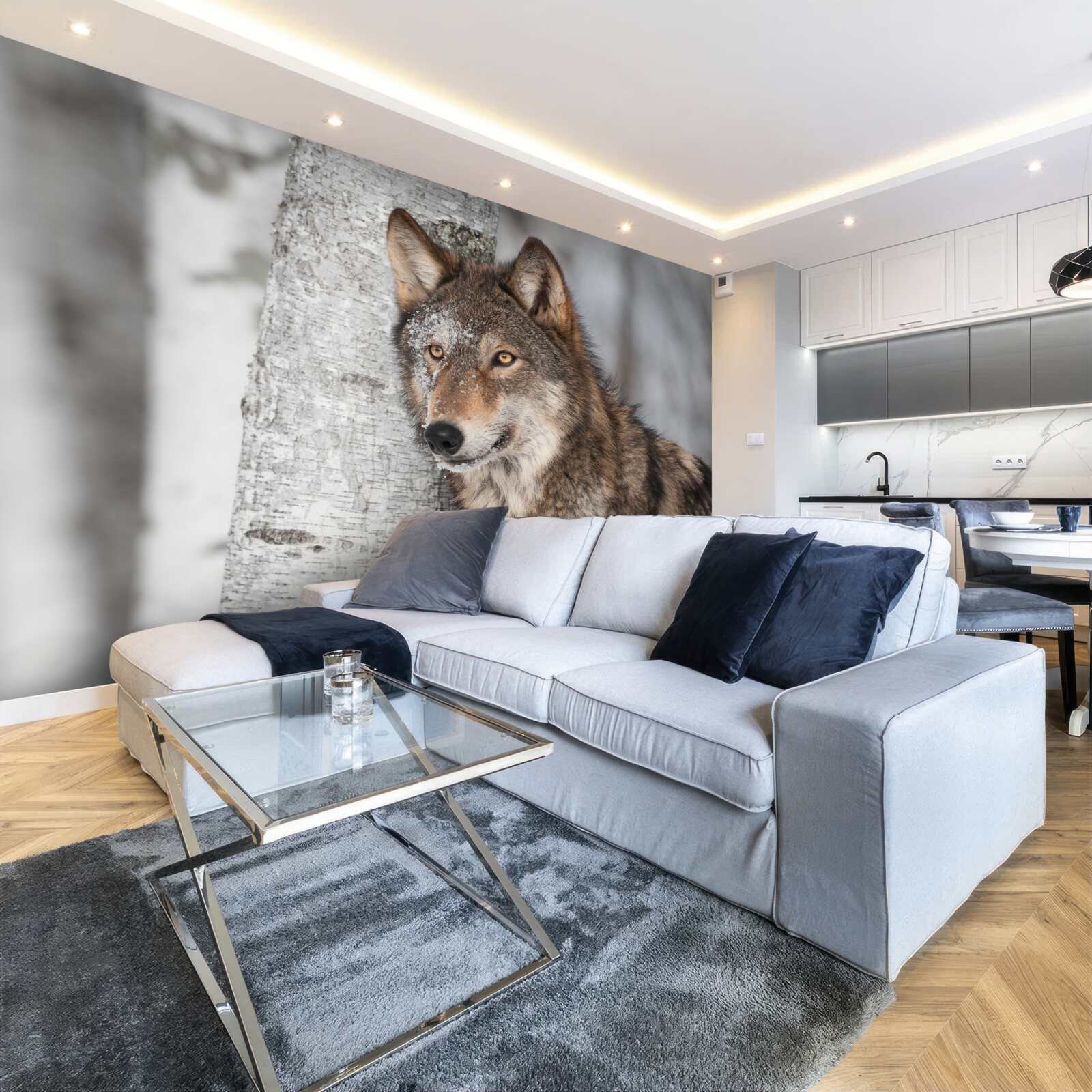 Fototapeta vlk škoricovej farby spadol do zálohy vedľa brezy