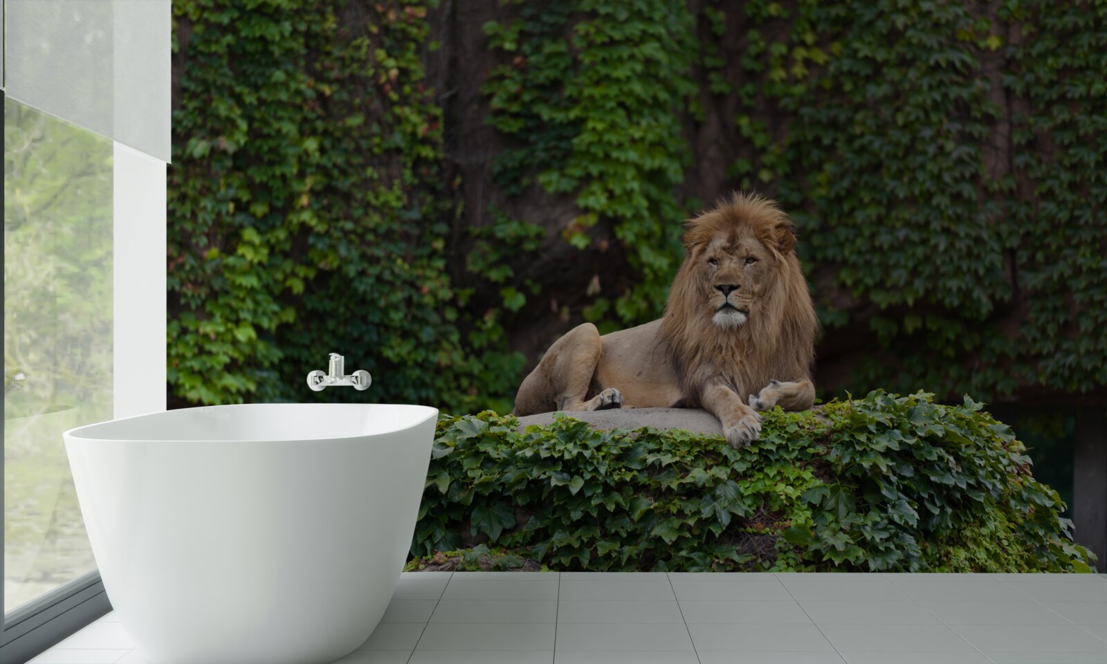 Fototapeta na kameni obrastenom machom spočíva majestátny lev