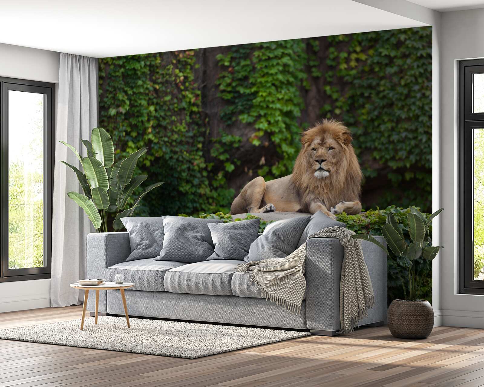 Fototapeta na kameni obrastenom machom spočíva majestátny lev