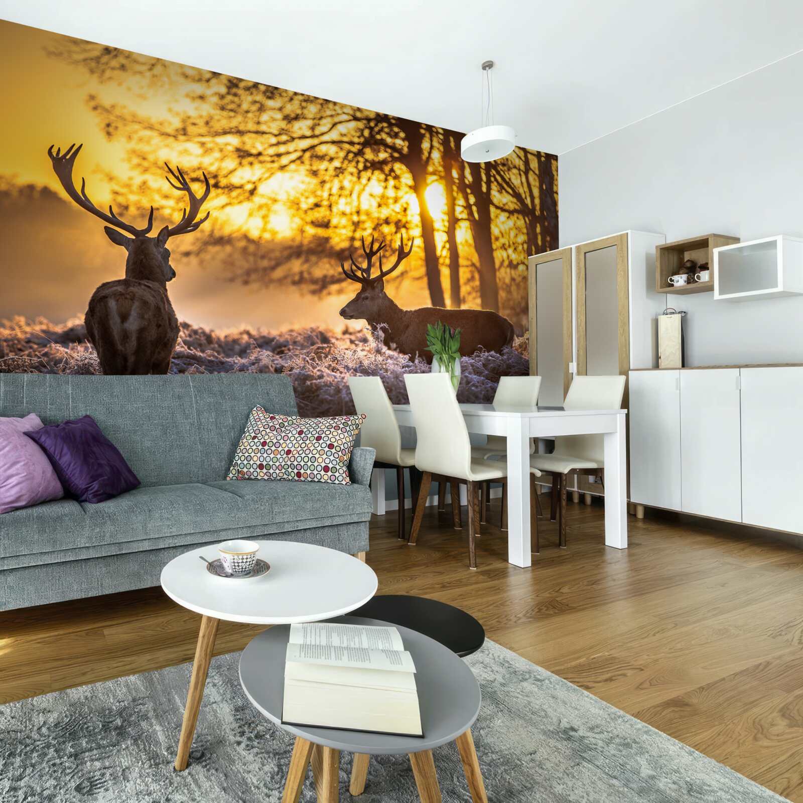 Fototapeta dospelý jeleň sprevádza západ slnka