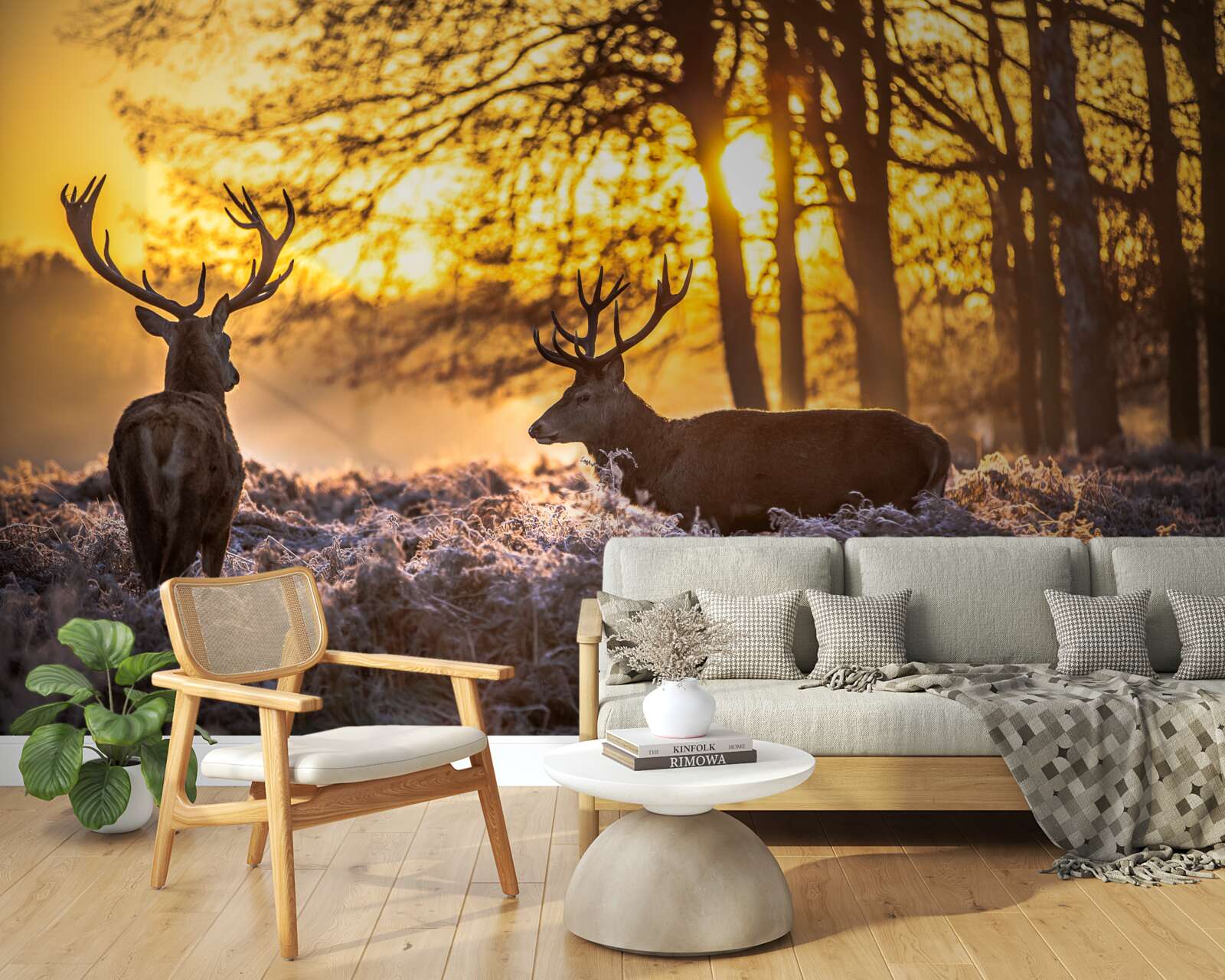 Fototapeta dospelý jeleň sprevádza západ slnka