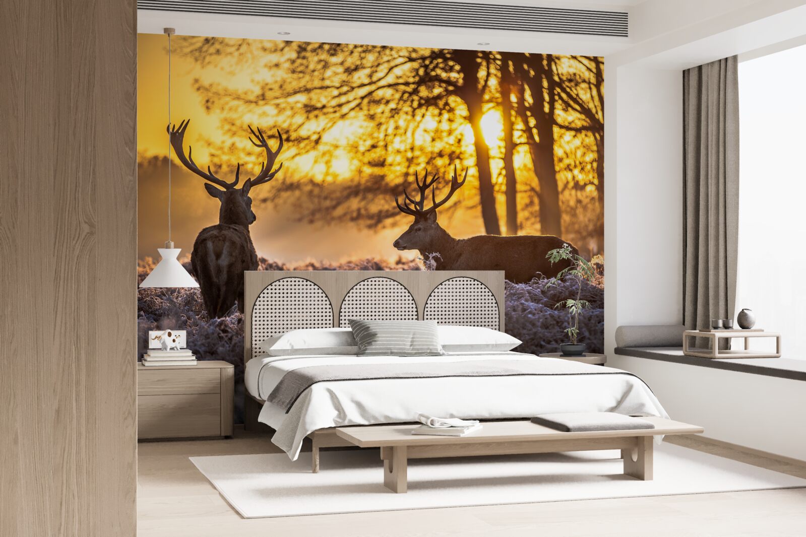 Fototapeta dospelý jeleň sprevádza západ slnka