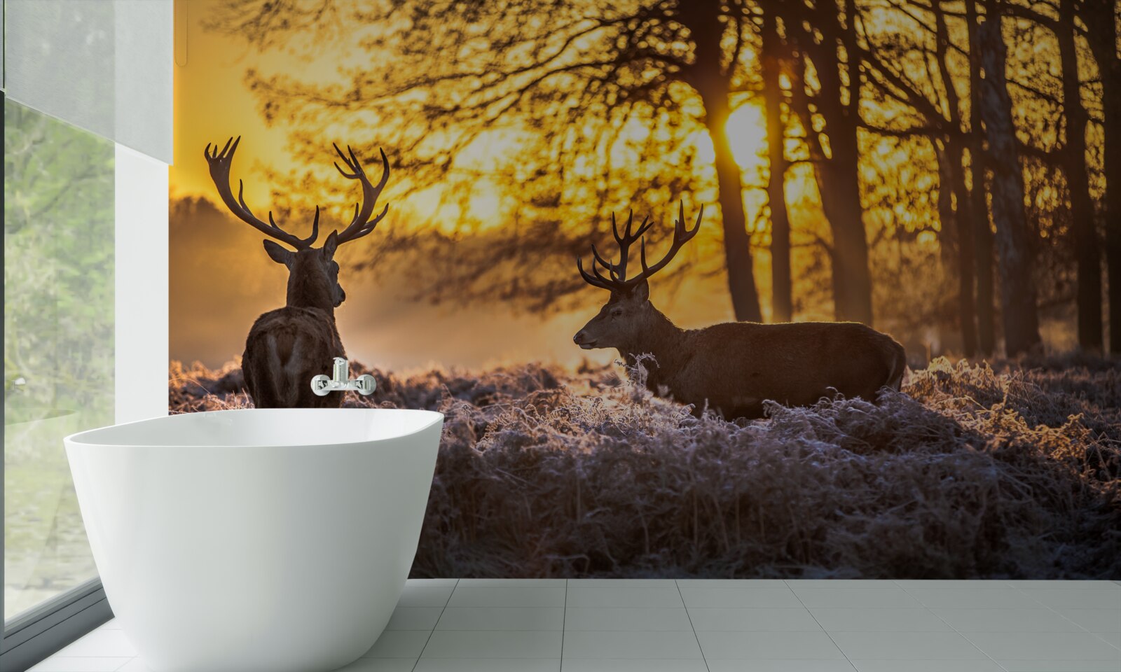 Fototapeta dospelý jeleň sprevádza západ slnka