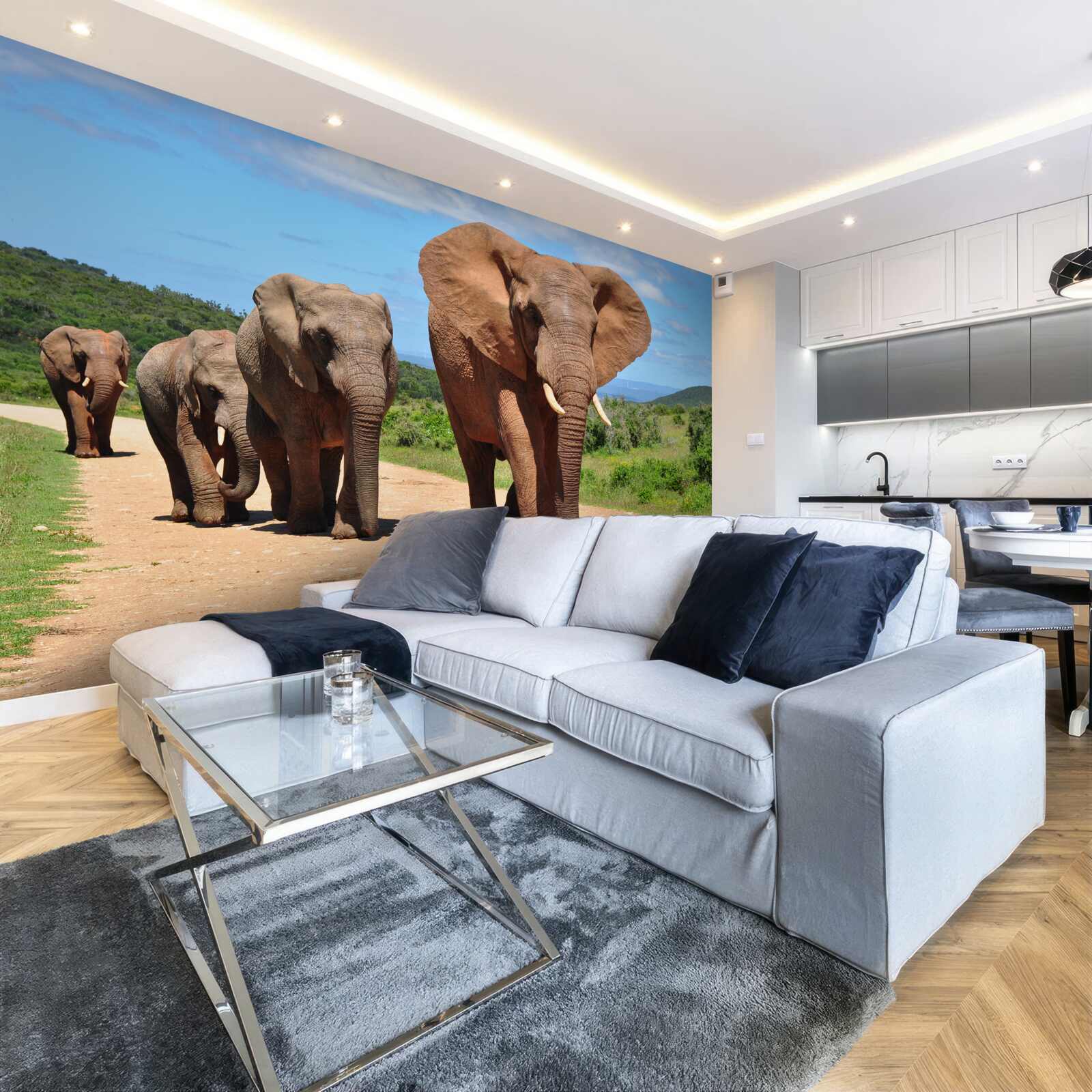 Fototapeta skupina slonov sa vracia domov cez piesočný terén