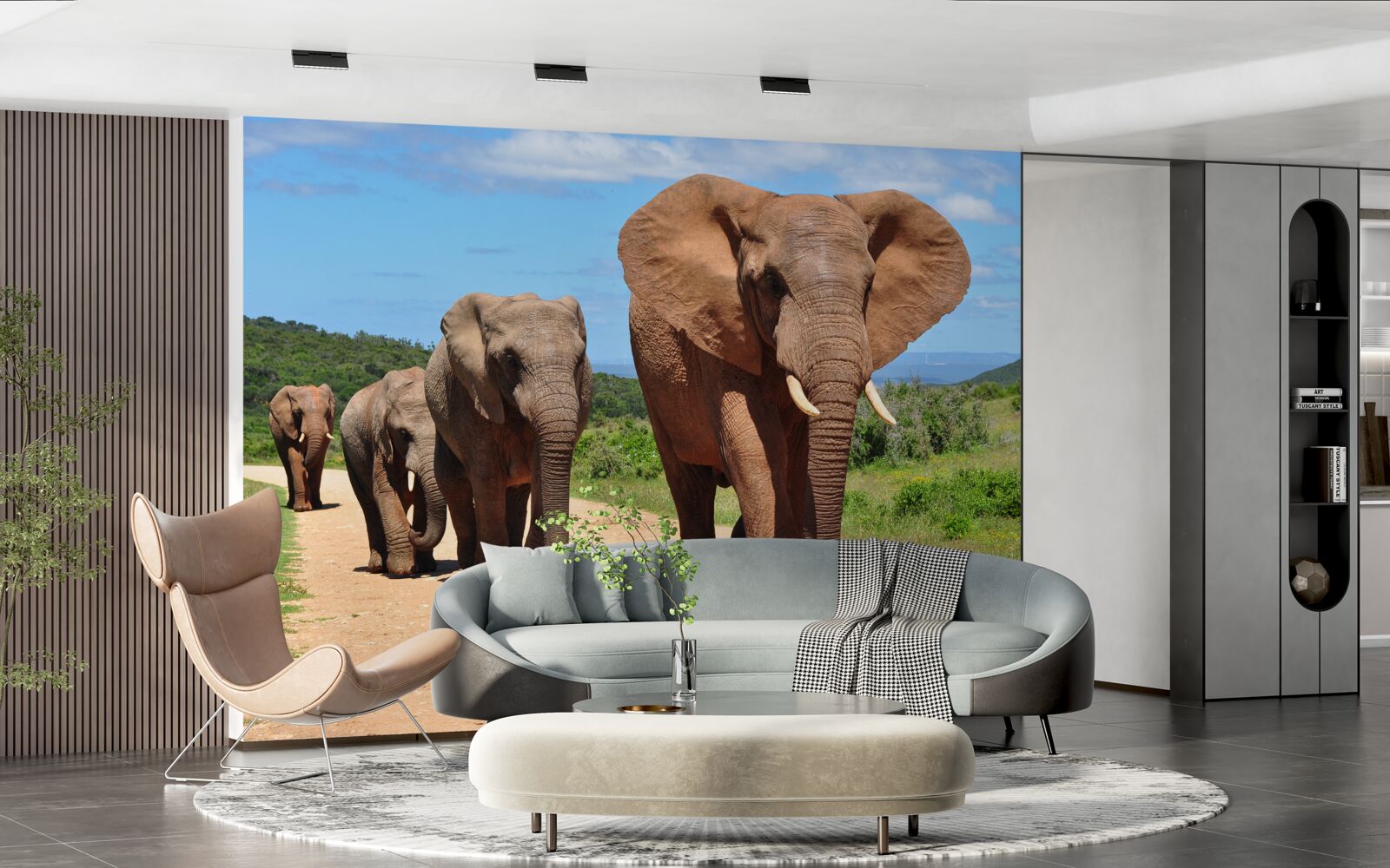 Fototapeta skupina slonov sa vracia domov cez piesočný terén