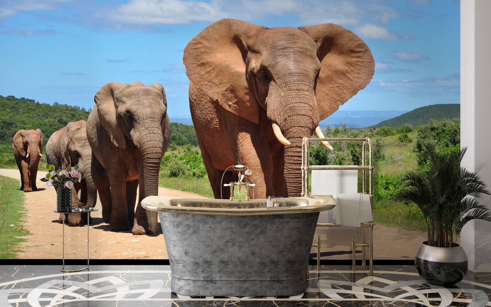 Fototapeta skupina slonov sa vracia domov cez piesočný terén