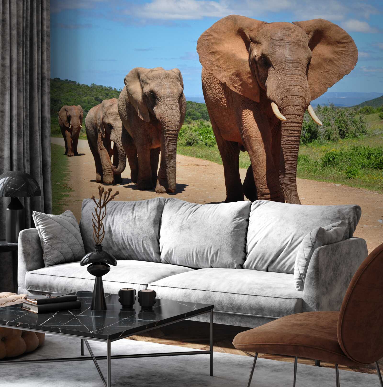 Fototapeta skupina slonov sa vracia domov cez piesočný terén