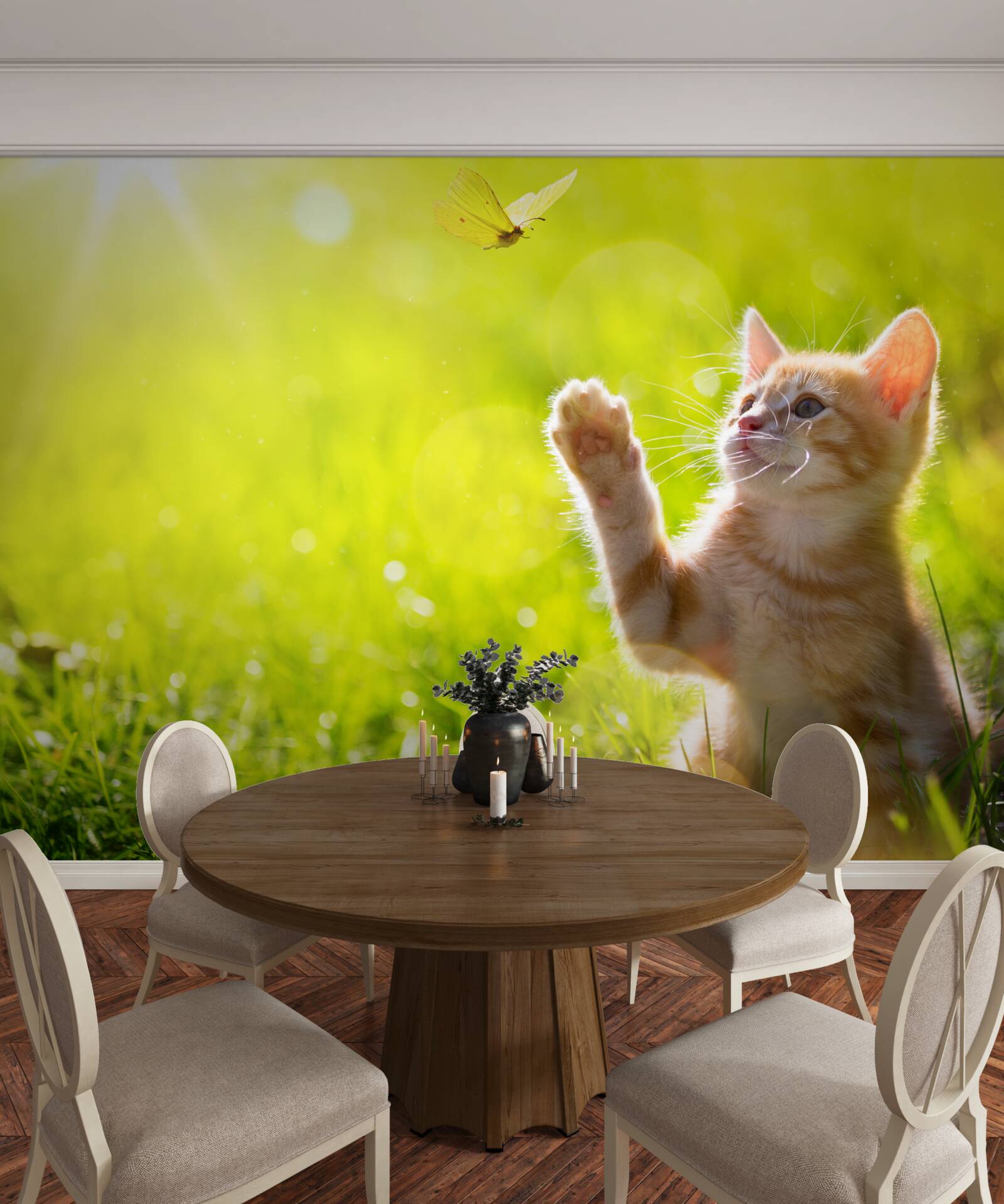 Fototapeta malá mačka sa hrá s motýľom na zelenom poli