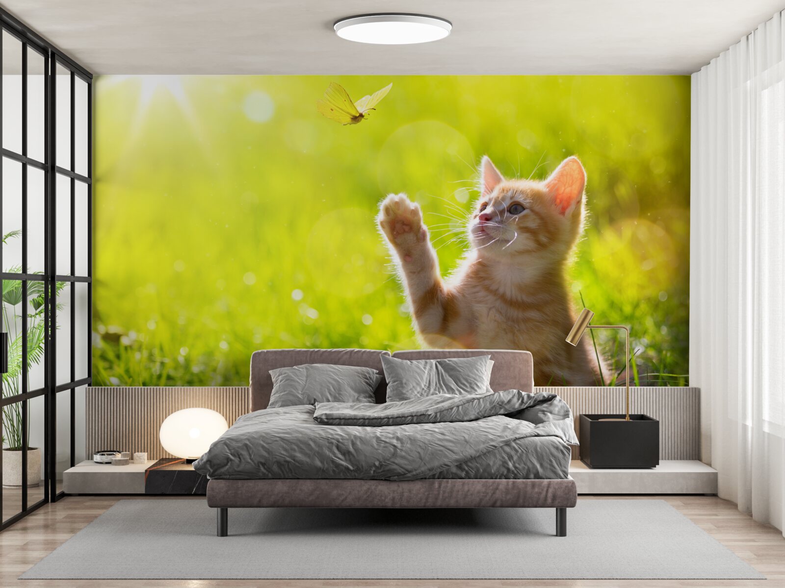 Fototapeta malá mačka sa hrá s motýľom na zelenom poli