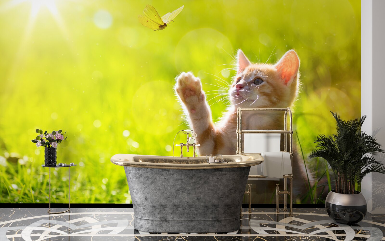 Fototapeta malá mačka sa hrá s motýľom na zelenom poli