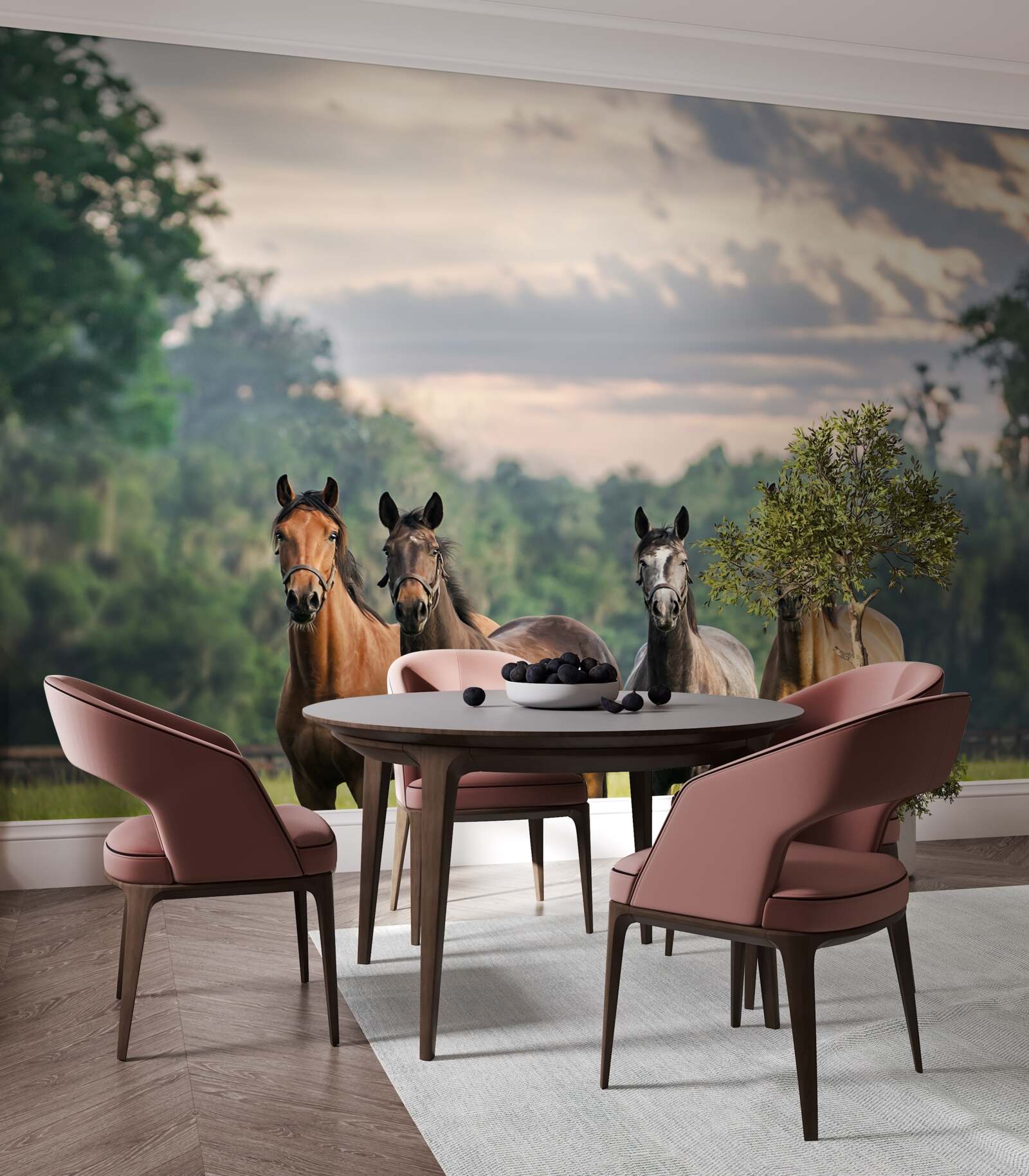 Fototapeta štyri kone odpočívajú v stáde na lúke