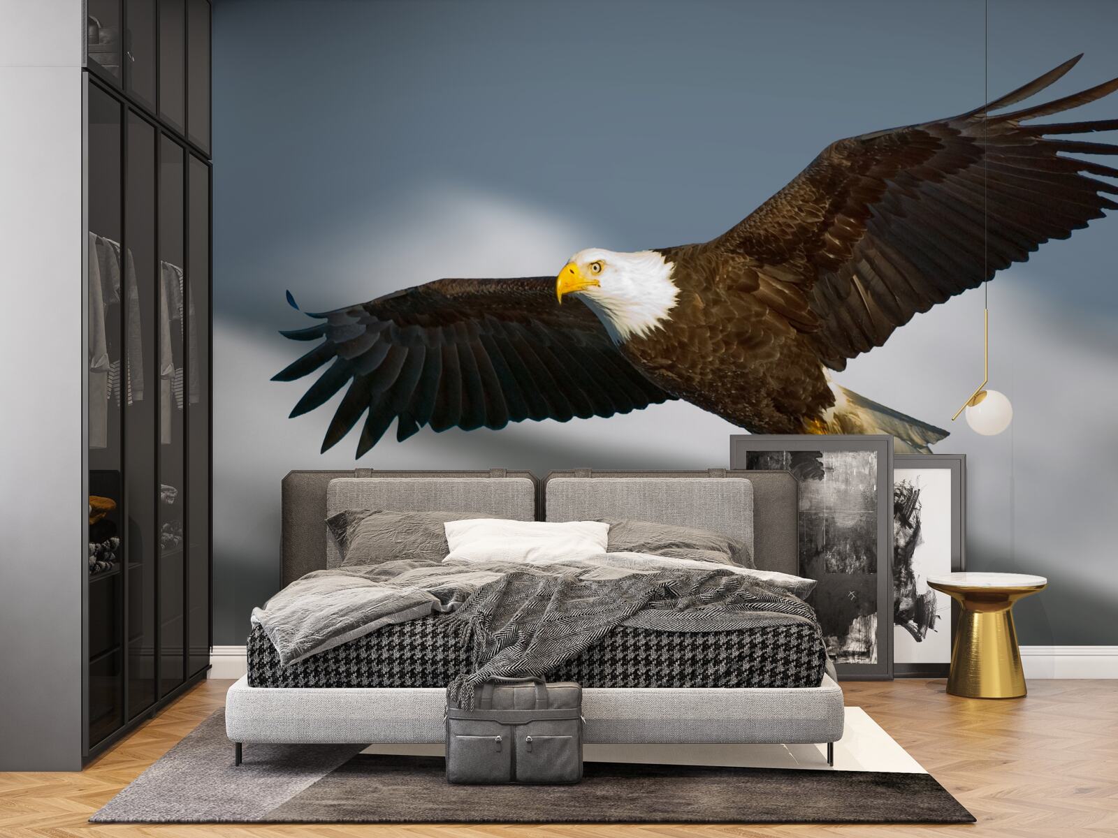 Fototapeta na oblohe sa vznáša orol bielohlavý