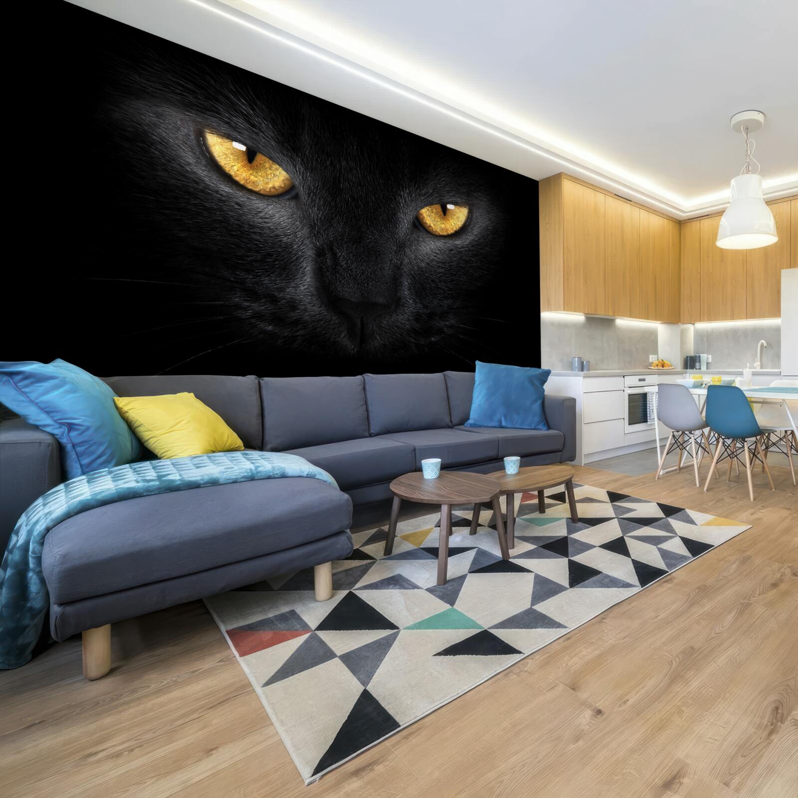 Fototapeta prenikavý pohľad čiernej mačky