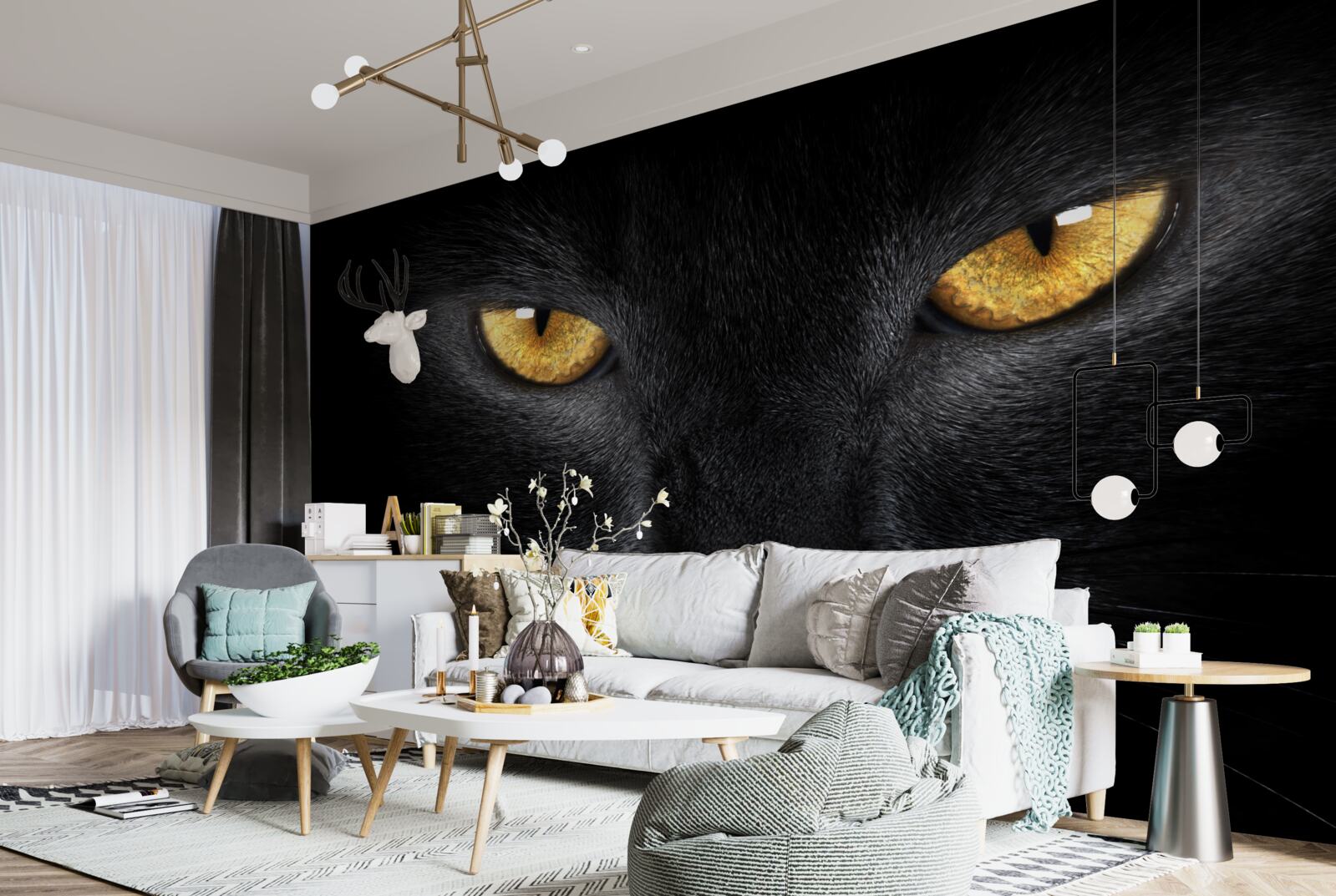 Fototapeta prenikavý pohľad čiernej mačky