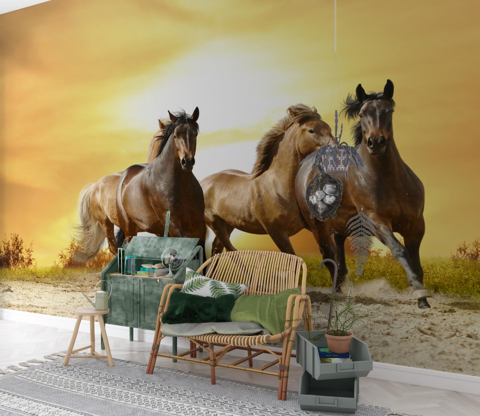 Fototapeta kone bežia smerom k zapadajúcemu slnku