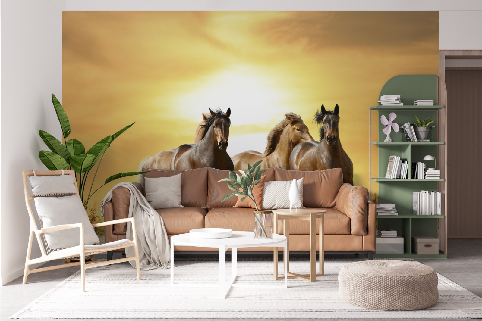 Fototapeta kone bežia smerom k zapadajúcemu slnku