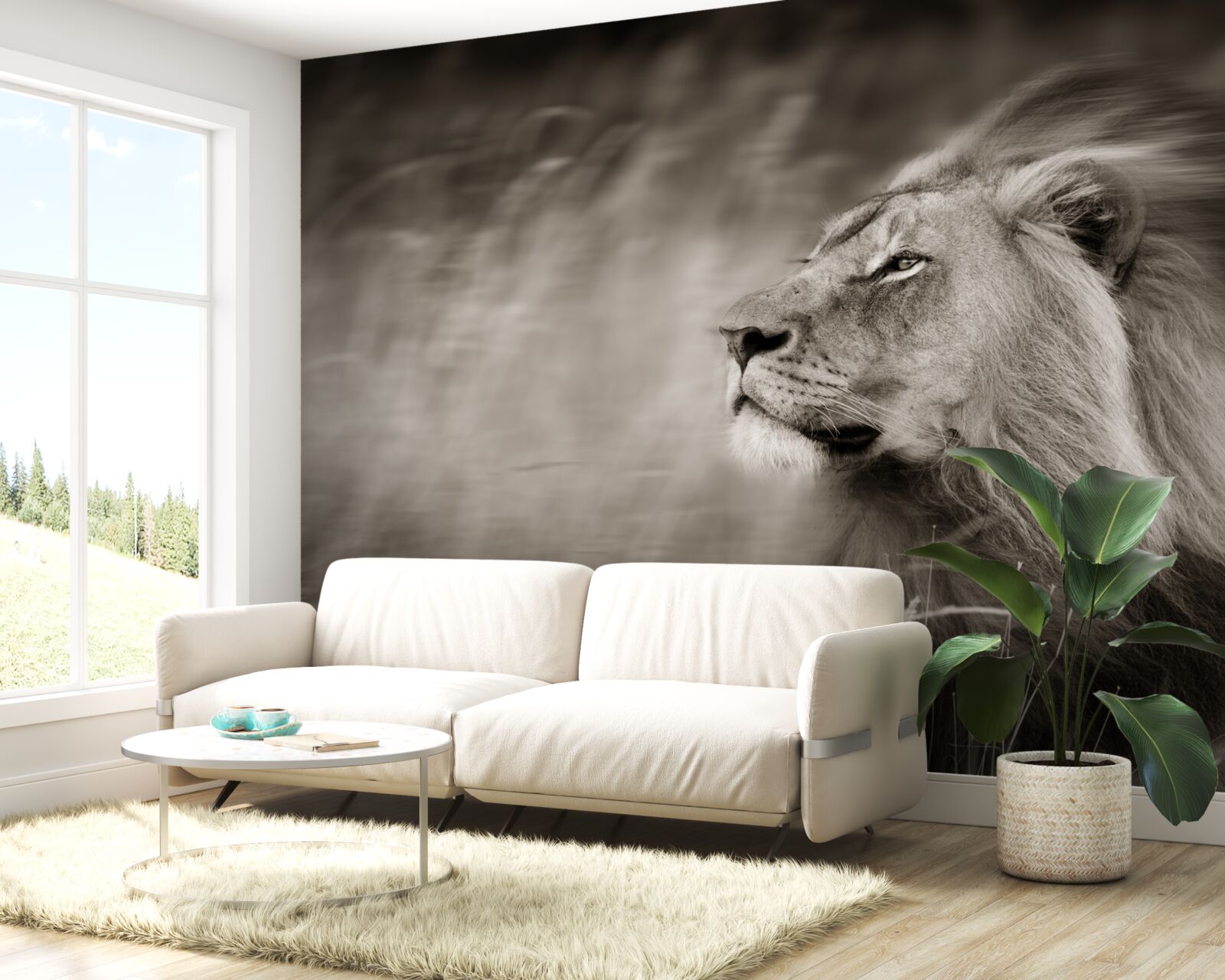 Fototapeta čiernobiela šelma pán vo vetre