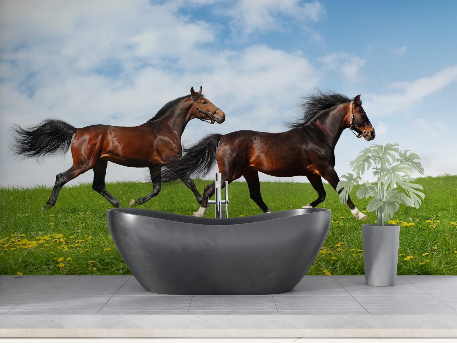 Fototapeta ranné kone bežiace cez čistinku