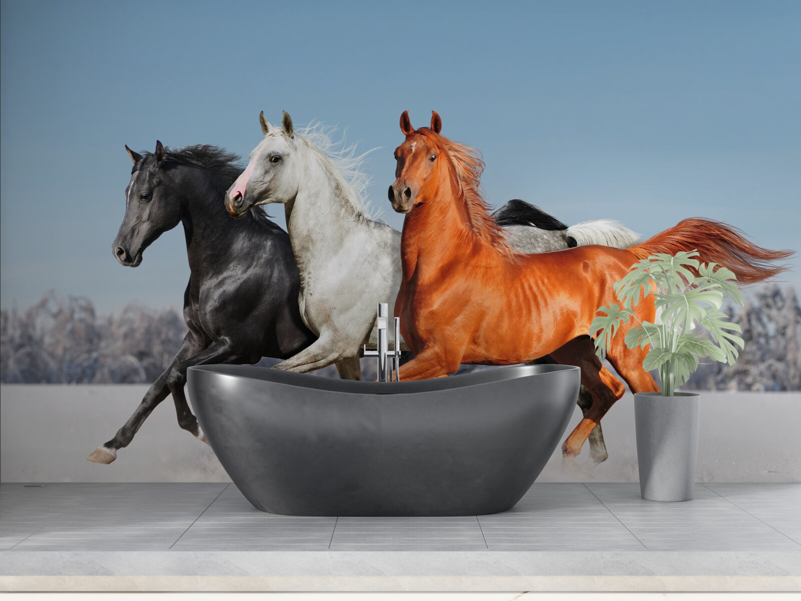 Fototapeta tri kone cválajúce po zasneženom teréne