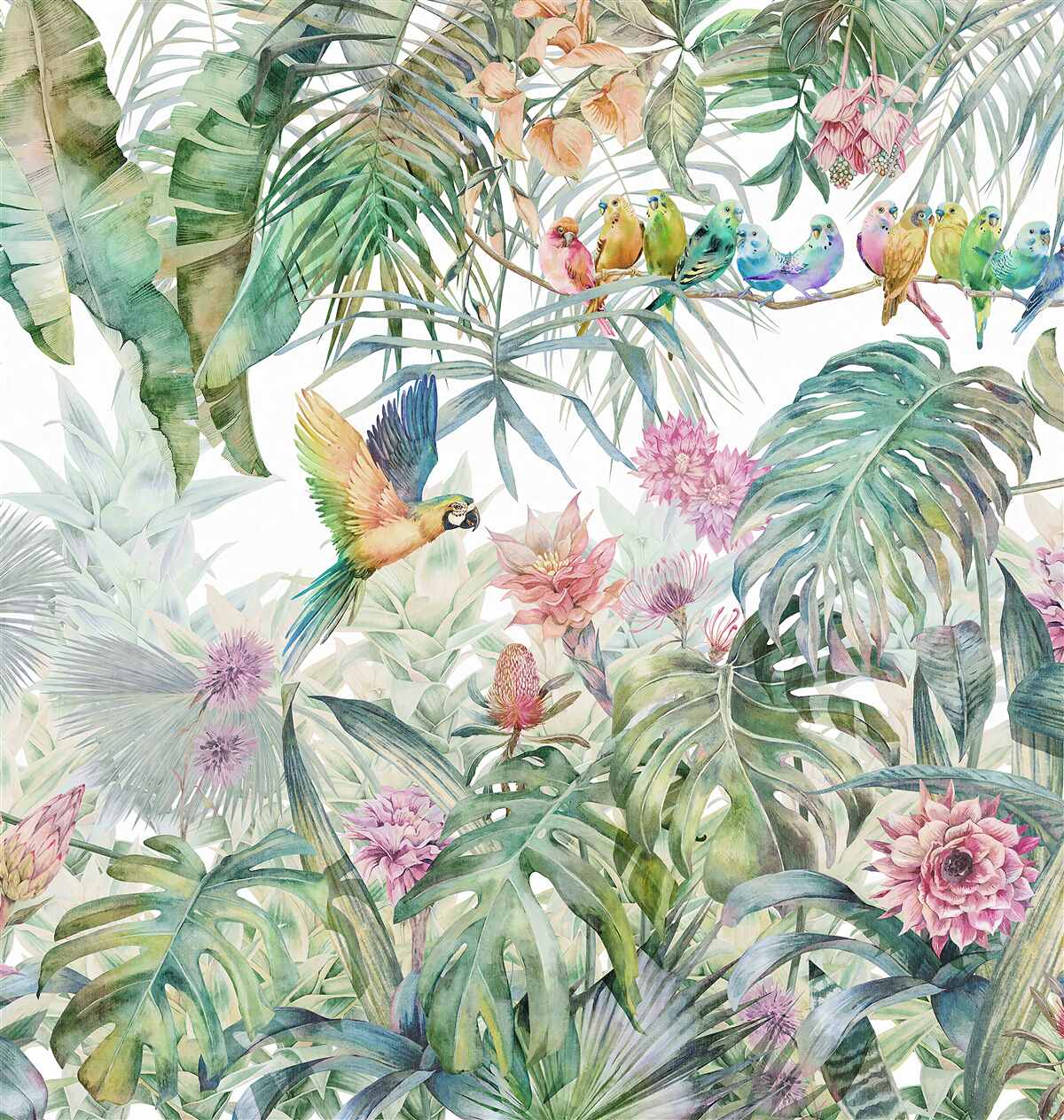 Fototapeta rodina papagájov v dažďovom pralese