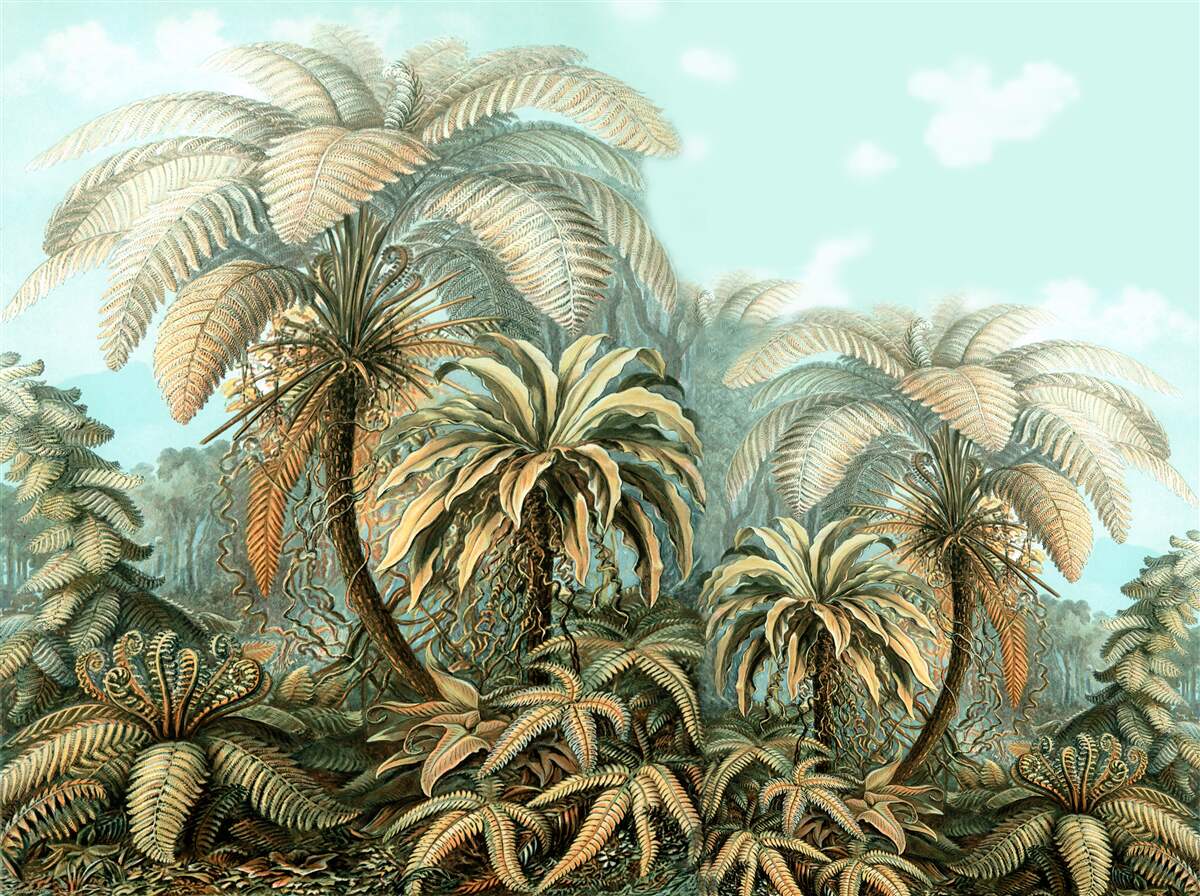 Fototapeta tropické stromy na blaženom ostrove