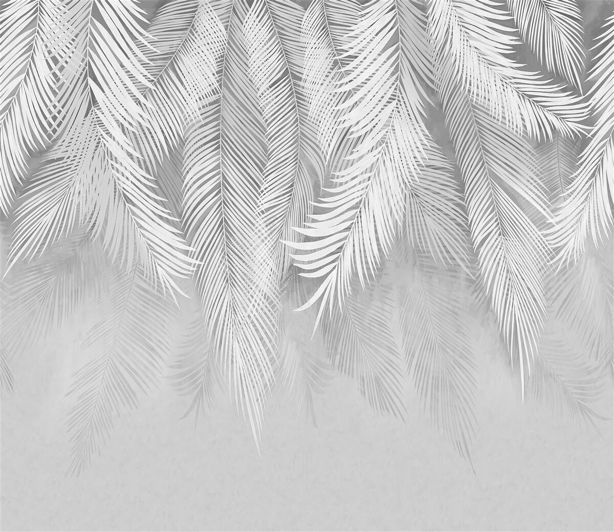 Fototapeta biele palmové listy visia